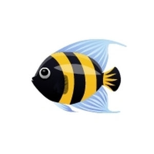 Bumble Angelfish